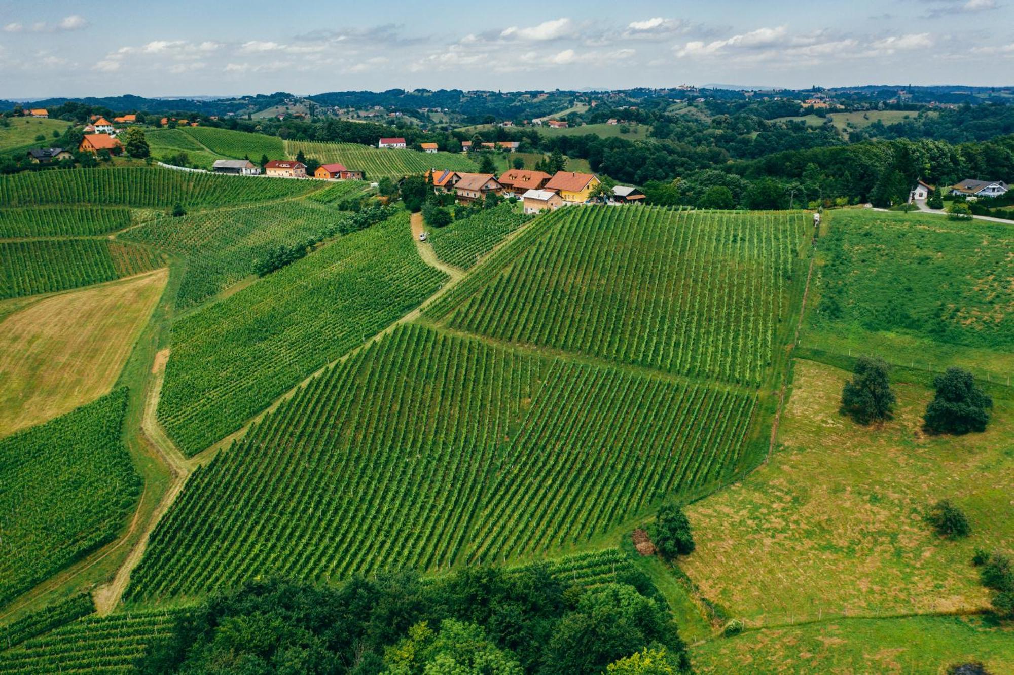 Spodnji Jakobski DolWine & Tourism Bracko住宿加早餐旅馆 外观 照片